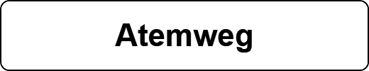 Atemweg